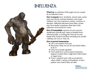 Influenza Poster PICnet